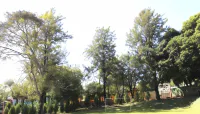 Velinn Hotel Natureza Foz