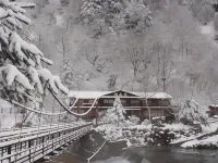 Shinzanso Hotels near Okura Falls