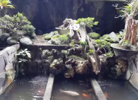 Jos & Hanny Homestay Hotels in Batu