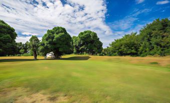 a lush green golf course surrounded by trees , with a golf cart parked in the distance at Big4 Townsville Gateway Holiday Park