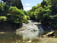 Takimien Hotels in Otaki
