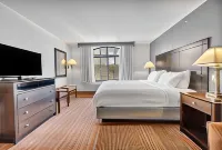 Wingate by Wyndham State Arena Raleigh/Cary Hotels in Wake County