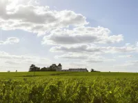 Domaine de la Soucherie - Chambres d'hôtes Hotels in Rochefort-sur-Loire