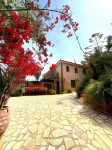 Okeanis Apartments & Suites Adults Only Hotels in Elios Proni