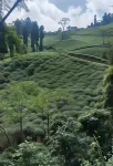 Sandeep Homestay Hotels near Chitrey Waterfall