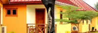 Rainforest Lodge Hotels in 