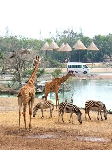 รูปภาพของ5 ช้างพาเลซ โฮเทล