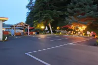 Shiny Motel - parking
