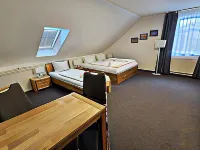 Parkhotel Senftenberg - Wifi