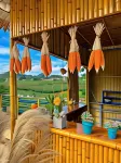 Sakura House - Vuon Dao