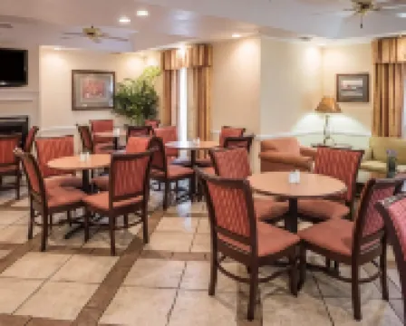 퀄리티 인 레이크 시티