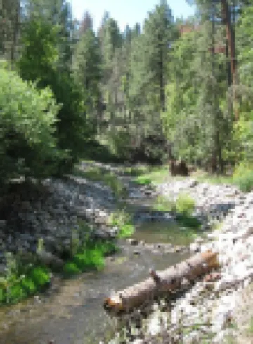 Right on the famous Ruidoso River!!!