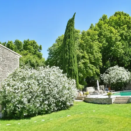 Le Mas de la Sorgue