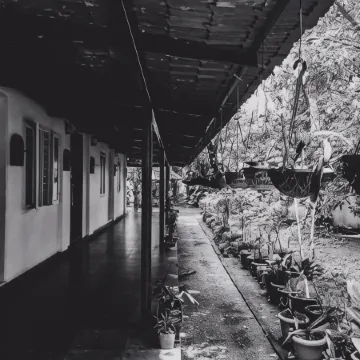 Palm Grove Service Villa