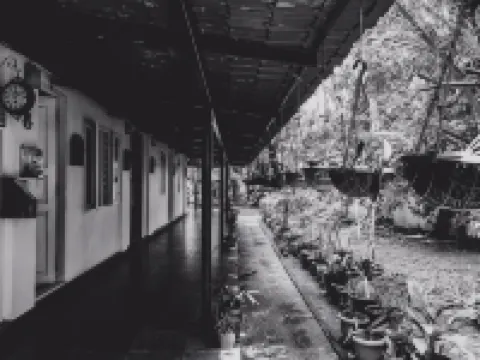 Palm Grove Service Villa Hotels in 