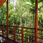 Ella Walkers Nest - Scenic