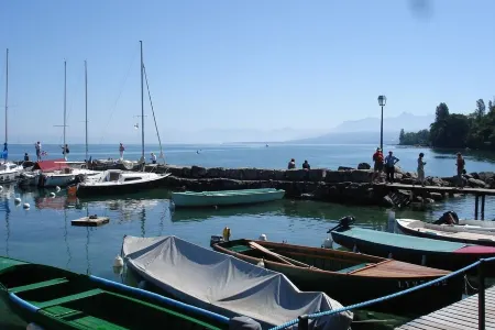 Apartment/ flat - Thollon les mesmises