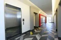 Stylish and Comfortable Retreat - Charming Urban Escape