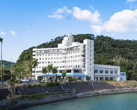 Hotel Seasons Nichinan Hotels in Nichinan