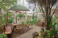 Casa de Nelly Hotels in 