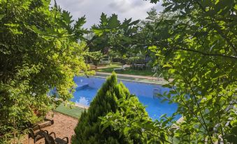 Casa Rural Bilbao Caserio Gondra Alquiler Habitaciones