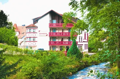 Regiohotel Germania am Kurpark Bad Harzburg Отели в г. 