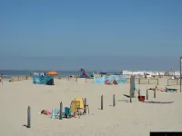 Lovely Apartment on Ameland Near Nes