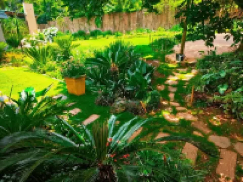 Dublin Guest House Hotels in 