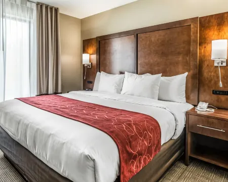 Comfort Suites Dunnellon Near Rainbow Springs Отели в г. Даннеллон