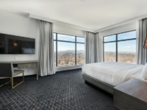 Embassy Suites by Hilton Asheville Downtown Hotels in Asheville