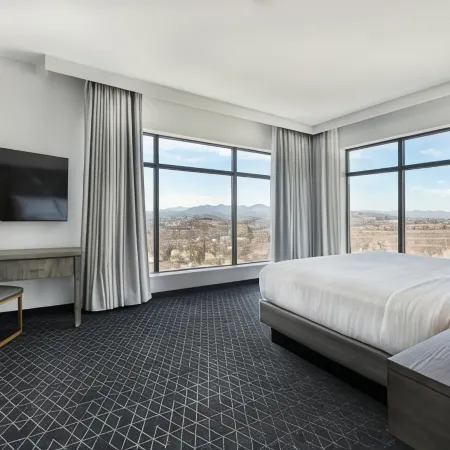 Embassy Suites by Hilton Asheville Downtown