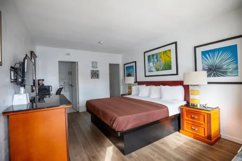 Americas Best Value Inn Chico Hotels in Chico