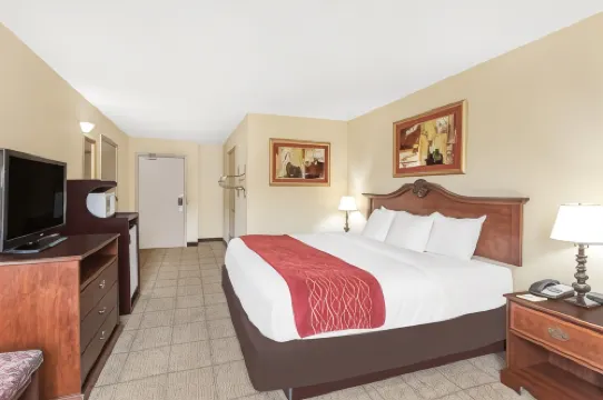 Clarion Pointe Vidalia - Lyons West