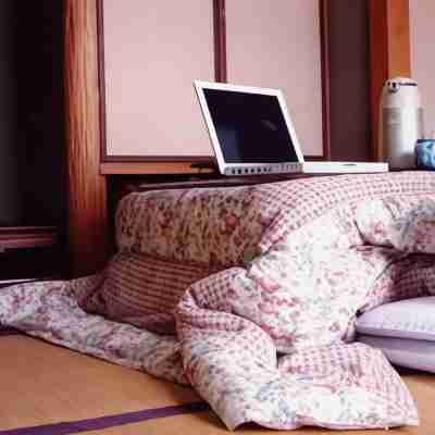 サラサヤ旅館 Rooms