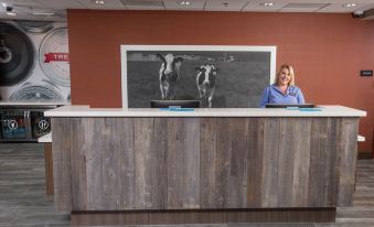 Hampton Inn & Suites Buellton/Santa Ynez