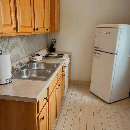 The Elevated Soulard Escape: Cozy 1-Bedroom Apartment. Pet- Friendly!