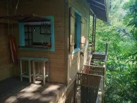 Jungle Paunch Hotele w: 