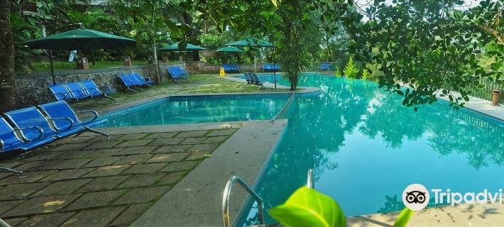 Wayanad Silver Woods Hotel Hotels in Wayanad