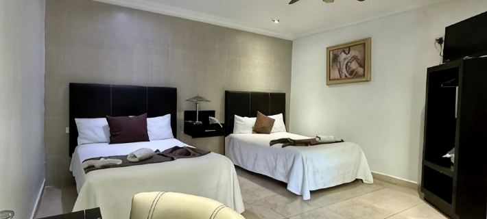 Hotel Gya Boutique Hotel di Aguascalientes
