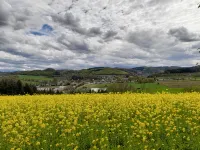 Sorpesee/Amecke in Sauerland Vacation Home by the Lake