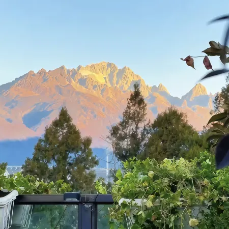 Mist Island Mountain Lodge Viewing Guesthouse