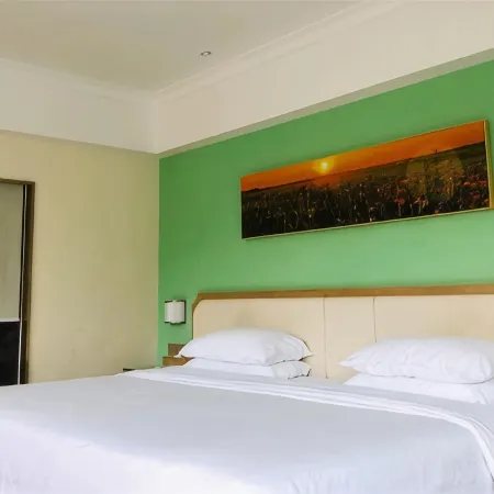 Vienna 3 Best Hotel (Tongdao)