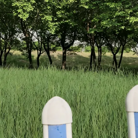 Changchun Meijia Homestay (Longjia Airport)