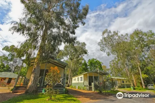 Big4 Crystal Brook Tourist Park - Tiny houses