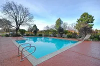 Wyndham Garden Newark/Fremont Silicon Valley - Pools