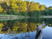 Living in a small village in the middle of nature many lakes forest and hiking trails