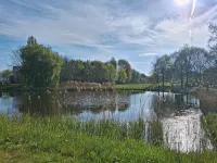 Comfortable home close to train station and Amsterdam Hotels in Almere
