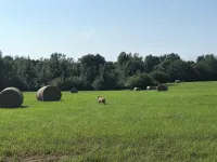 Fully Furnished Two Bedroom Farm House, "The Little House" Has Everything !