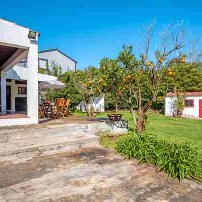Cottage House with A/C – Big Garden - FREE Wood Hotel Exterior