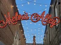 Stylish 2 BR New Apartment in Downtown Mount Airy (APT 202)
